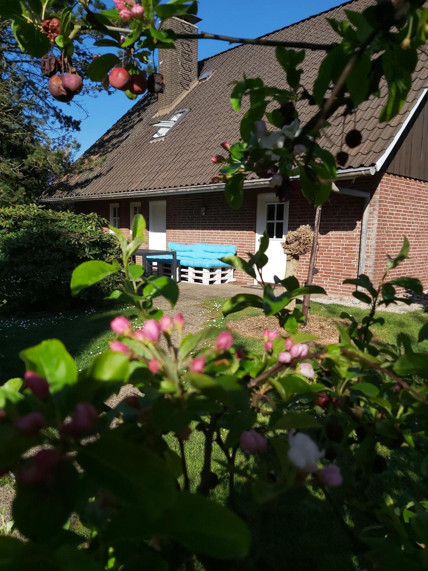 Apartment 2 Einzelzimmer Altes Land Bei Hh *